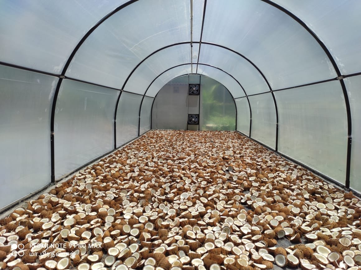 Solar Dryer