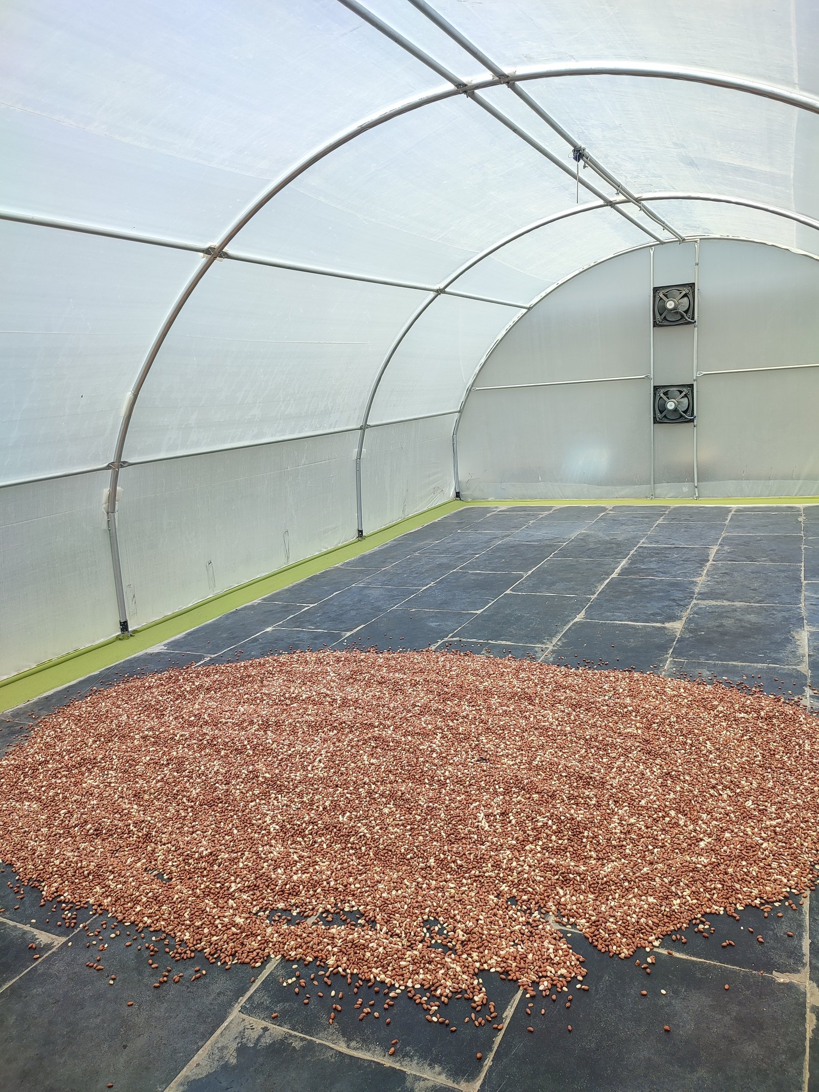 Solar Pump